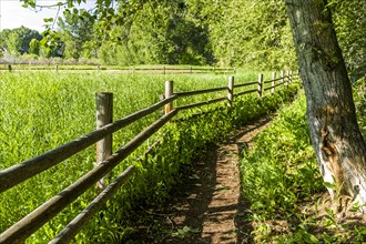 Wooden fence by green field