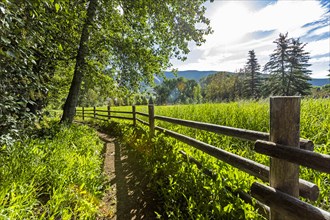 Wooden fence by green field