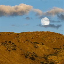 Full moon over brown hill at sunset in Picabo