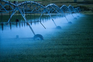 Irrigation system spraying crop field at sunset