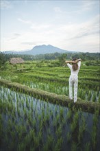 Rear view of woman standing in rice paddy in Bali
