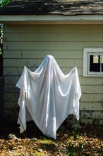 Ghost by house