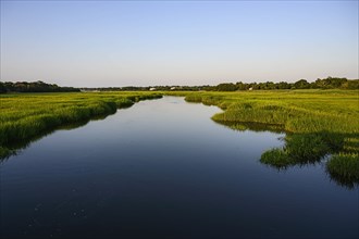 River through wetland in Dennis, Cape Cod, USA