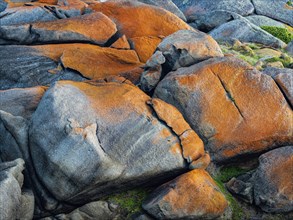 Orange and grey rocks on Granite Island, Australia