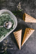 Mint chocolate chip ice cream with cones