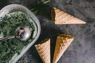 Mint chocolate chip ice cream with cones