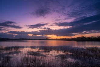 River under purple sky at sunset in Everglades National Park, Florida, USA