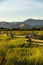 Fence through field in Picabo, Idaho, USA