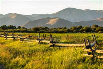 Fence through field in Picabo, Idaho, USA