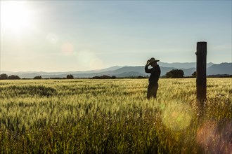 Silhouette of farmer in crop field in Picabo, Idaho, USA