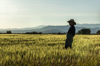 Silhouette of farmer in crop field in Picabo, Idaho, USA