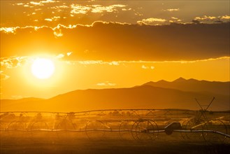 Irrigation in field at sunset in Picabo, Idaho, USA