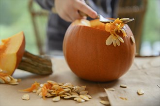 Child carving pumpkin