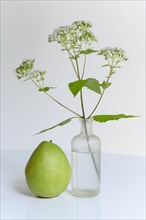Pear next to wildflowers in vase