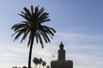 Silhouette of palm tree and Torre del Oro in Seville, Andalusia, Spain