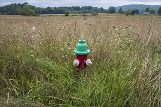 Fire hydrant in field in Dalton, Massachusetts, USA