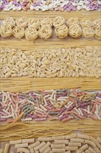 Assorted uncooked pasta in rows