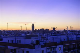 Cityscape with Giralda bell tower at sunset in Seville, Spain