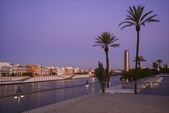 Palm trees in front of Sevilla Tower at sunset in Seville, Spain