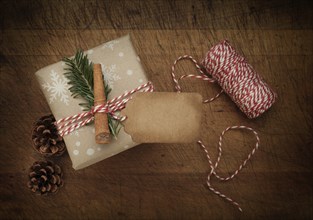 Carrot and pine frond tied to Christmas present