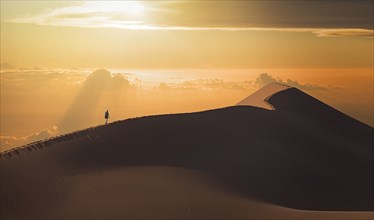 Man in desert in Namib Desert in Namibia