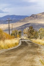 Country road by trees and mountains