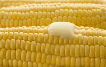 Close up of butter melting on corn cob