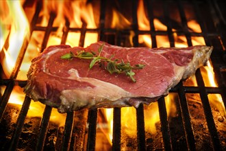 Raw steak and oregano on grill