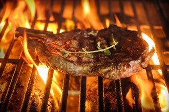Steak and oregano on grill