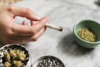 Hand of woman holding marijuana joint