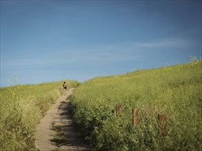 Woman jogging on path through field