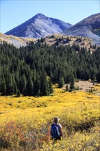 Woman hiking during autumn at Mayflower Gulch, Colorado