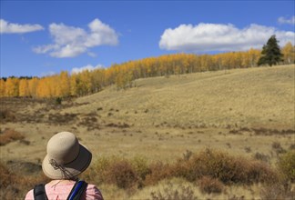Woman hiking during autumn at Kenosha Pass, Colorado