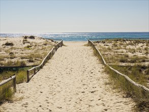 Beach walkway in Coolangata, Australia