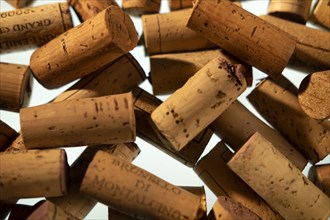 Collection of wine corks
