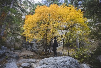 young woman on boulder in autumn forest