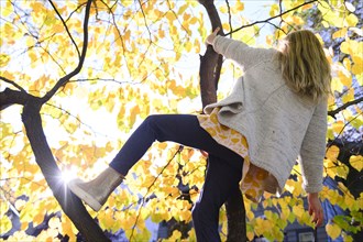 Girl climbing tree during autumn