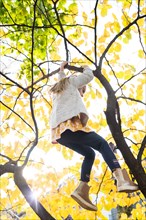 Girl climbing tree during autumn