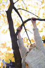 Girl climbing tree during autumn