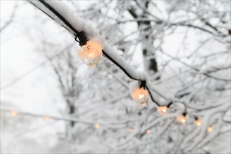 Snow on fairy lights