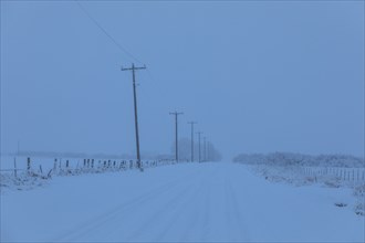 Power lines by snow on highway
