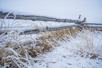 Wooden fence with snow on farm in winter