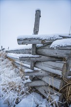 Wooden fence with snow on farm in winter