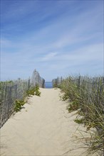 Wooden fence and path to beach