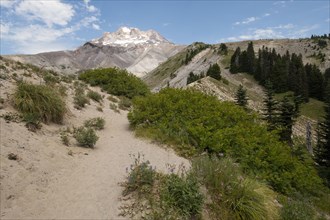 Sand dunes and mountain in Mount Hood National Forest, yregon