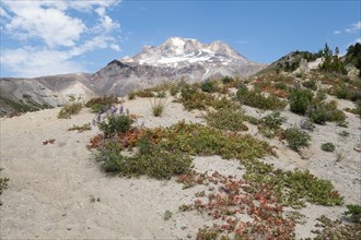 Sand dunes and mountain in Mount Hood National Forest, yregon