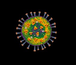 Digitally generated image of Coronavirus