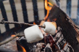 Roasting marshmallows over fire