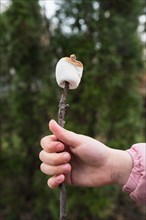 Girls (6-7) hand holding roasted Marshmallow on stick