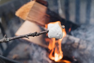 Close up of Marshmallow on stick roasting over fire